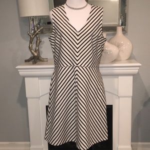 NWT Ann Taylor Loft dress. Size 10P
